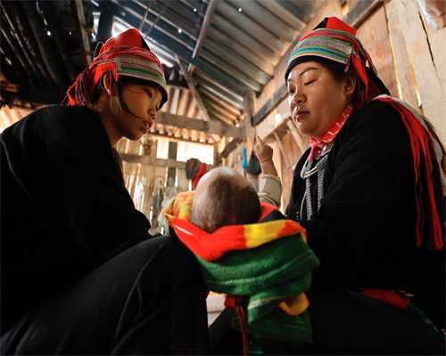 第三代试管婴儿费用揭秘：囊胚筛查的成本构成与成功率影响